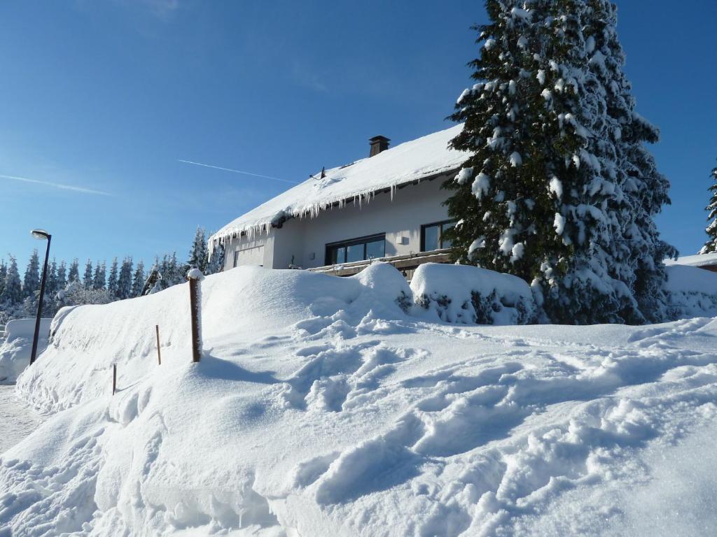 Apartment Jungst Winterberg Exterior foto